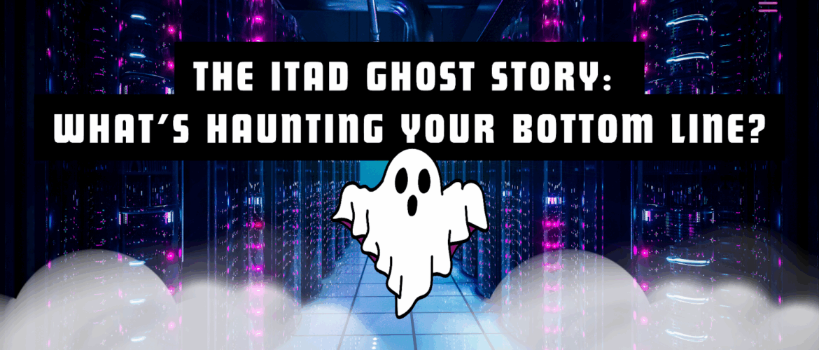 IT manager viewing ghost asset report in Pulse portal