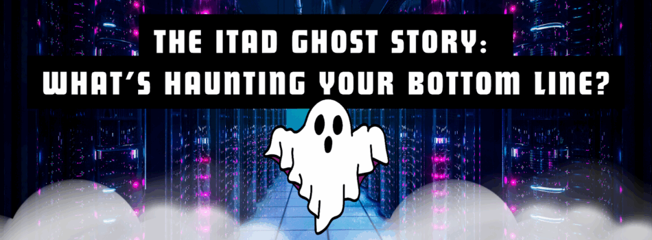 IT manager viewing ghost asset report in Pulse portal